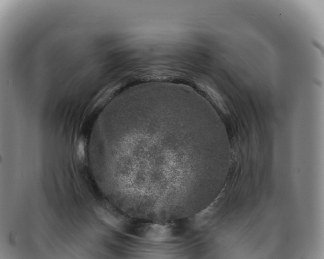 X0000096470166200801311542