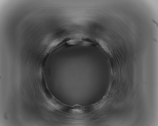 X0000096470167200801311542
