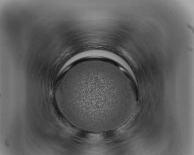 X0000096470170200801311542