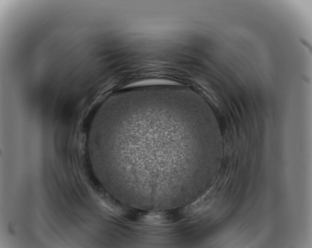 X0000096470171200801311542