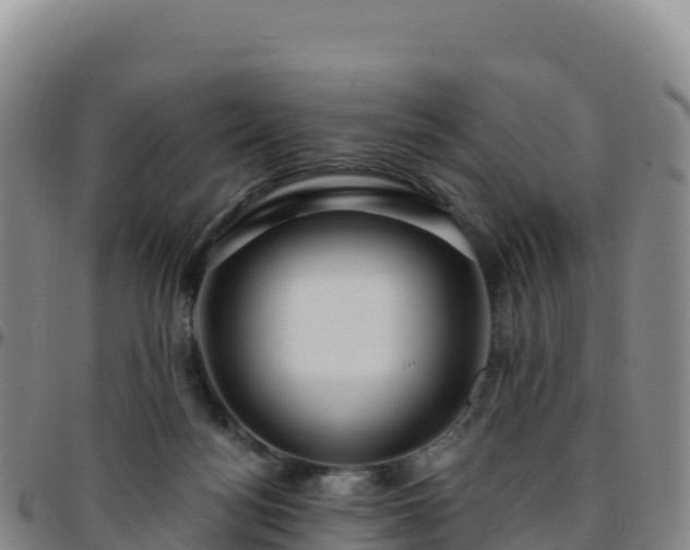 X0000096470172200801311542
