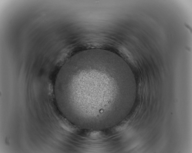 X0000096470173200801311542