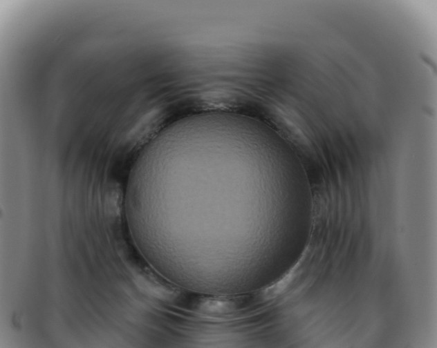 X0000096470174200801311542
