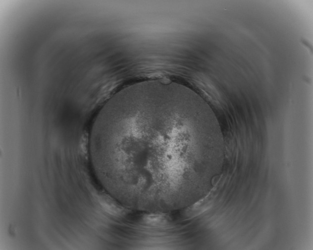 X0000096470175200801311542