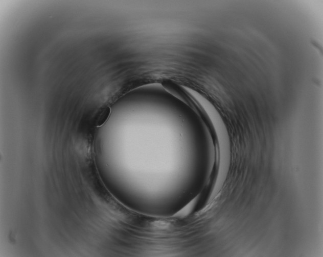 X0000096470176200801311542