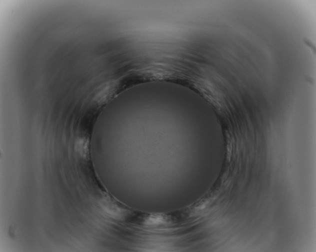 X0000096470177200801311542