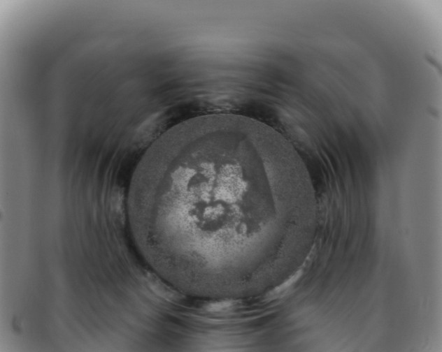 X0000096470178200801311542