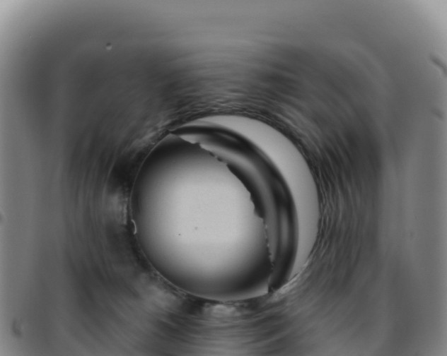 X0000096470180200801311542