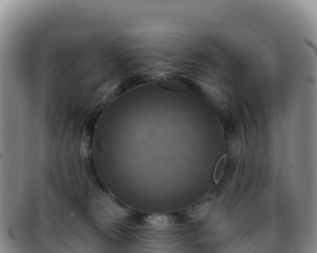 X0000096470181200801311542
