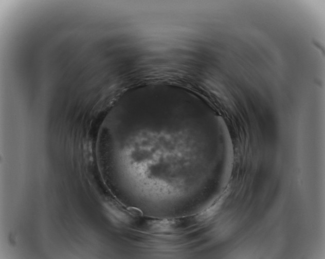 X0000096470182200801311542