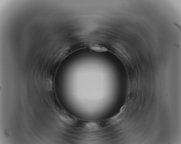 X0000096470183200801311542