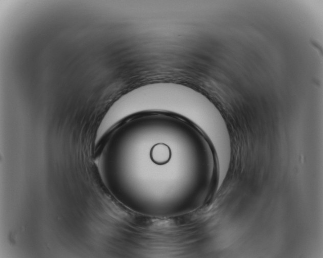 X0000096470185200801311542