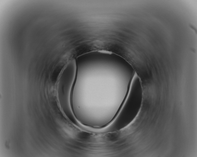 X0000096470186200801311542