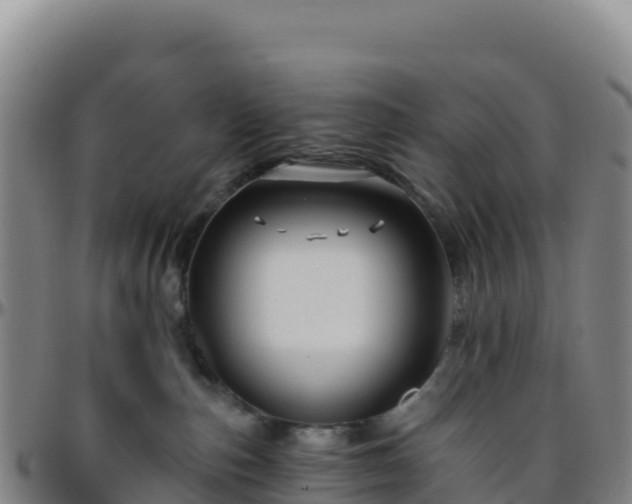X0000096470187200801311542
