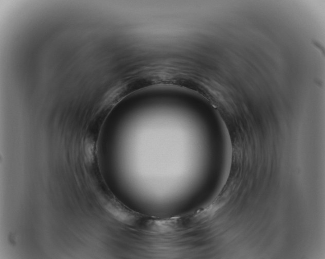 X0000096470188200801311542