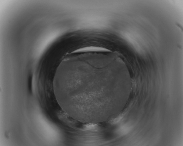 X0000096470189200801311542