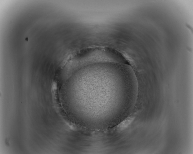 X0000096470192200801311542