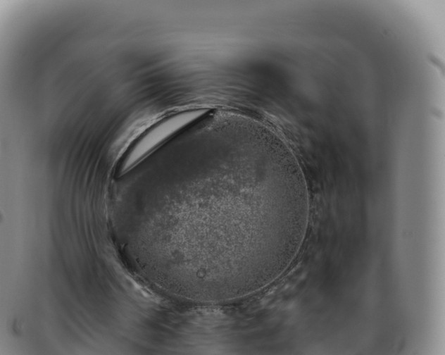 X0000096470194200801311541