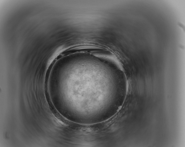 X0000096470195200801311541