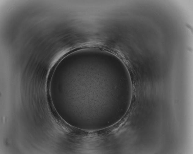 X0000096470196200801311541