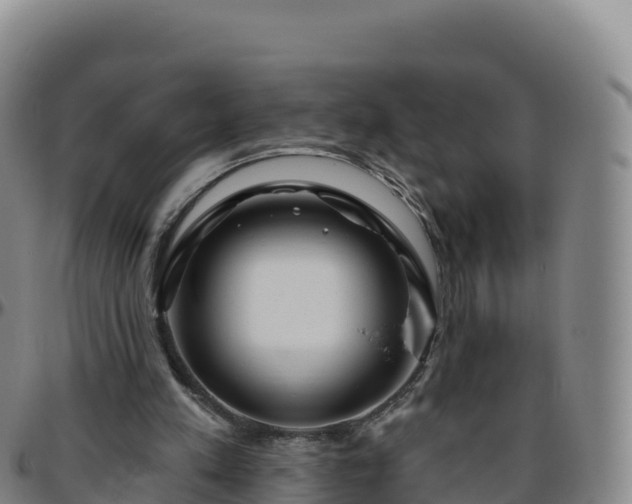 X0000096470197200801311541