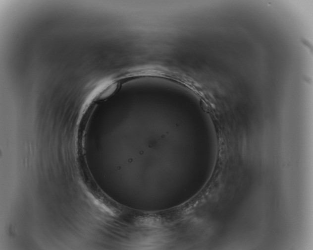 X0000096470200200801311541