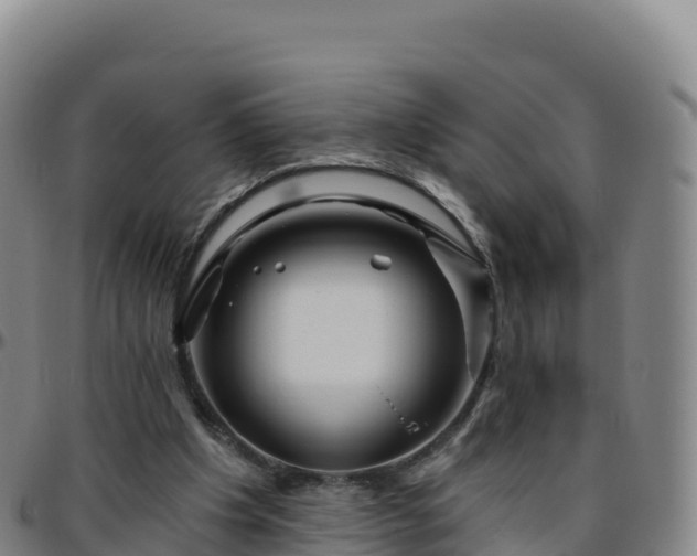 X0000096470201200801311541