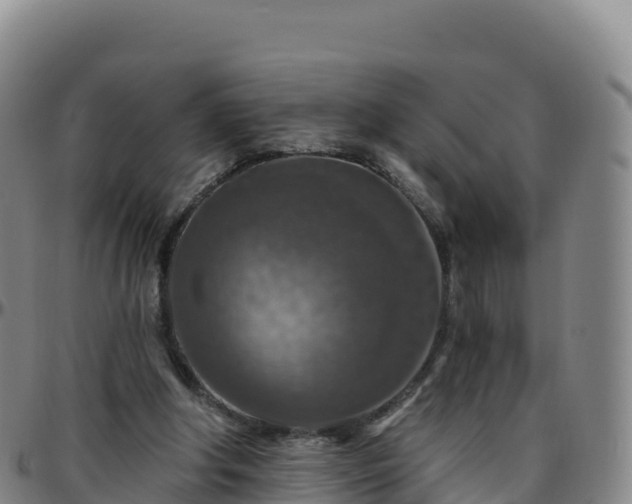 X0000096470202200801311541