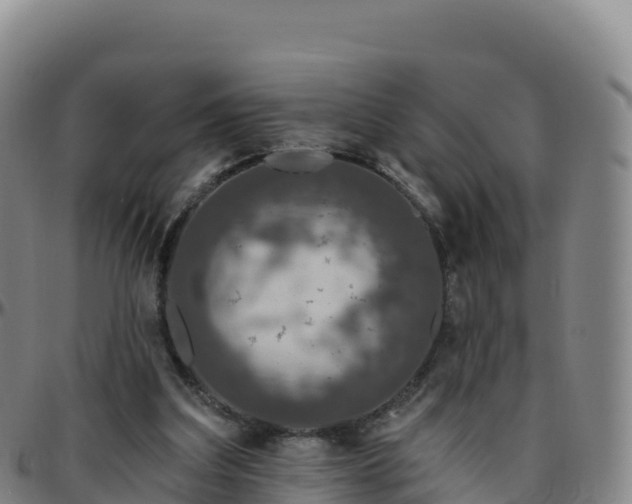 X0000096470203200801311541