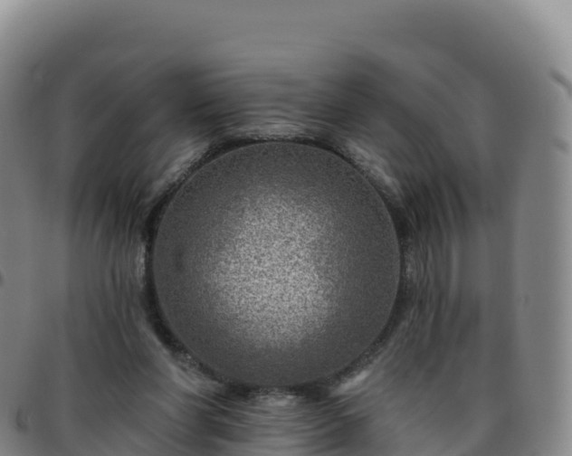 X0000096470206200801311541