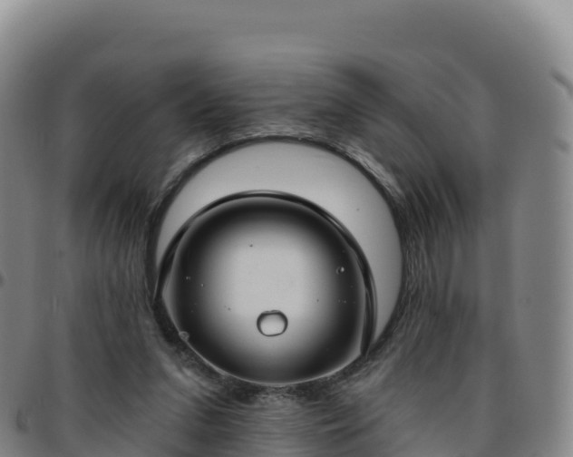 X0000096470207200801311541