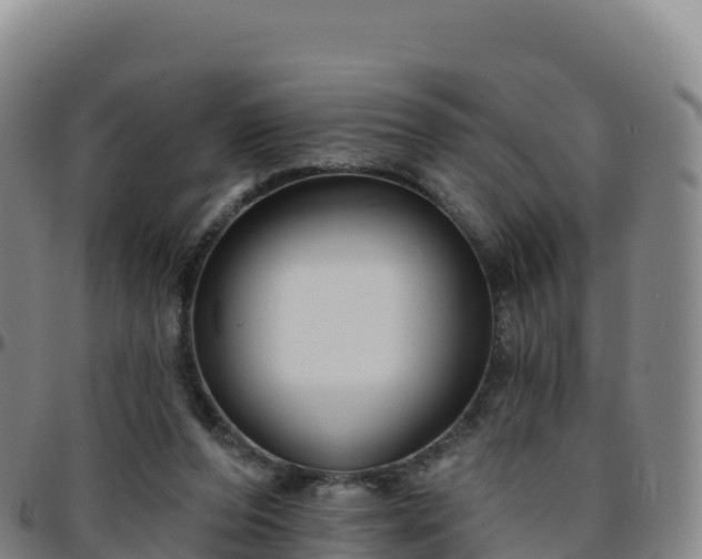 X0000096470208200801311541