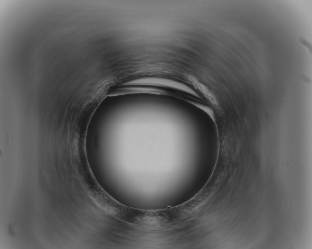 X0000096470209200801311541