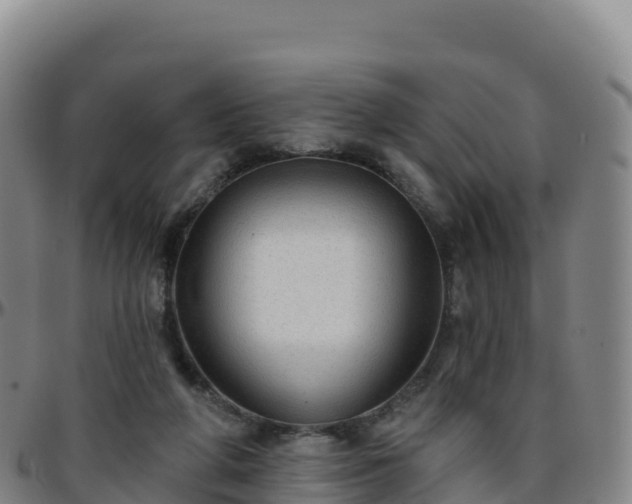 X0000096470210200801311541
