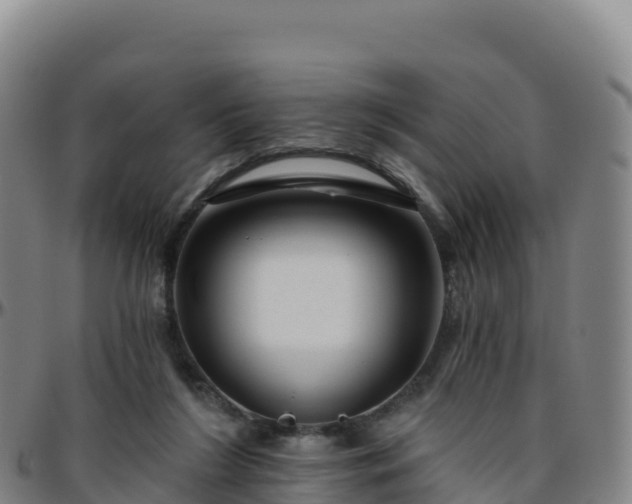 X0000096470212200801311541