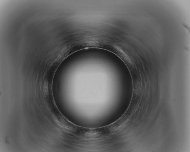 X0000096470213200801311541