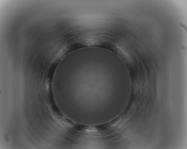 X0000096470214200801311541