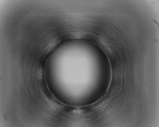 X0000096470216200801311541