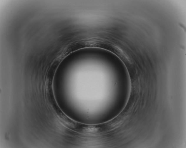 X0000096470217200801311541