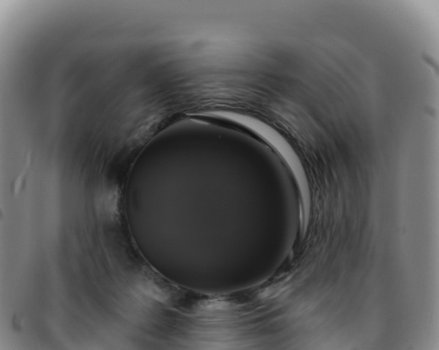 X0000096470219200801311541