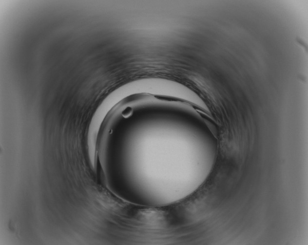 X0000096470221200801311541