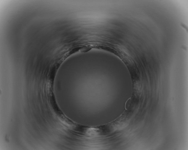 X0000096470222200801311541