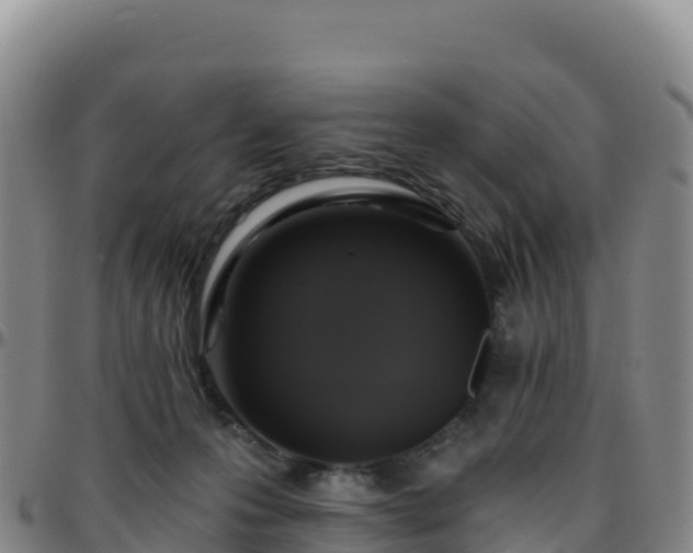 X0000096470223200801311541