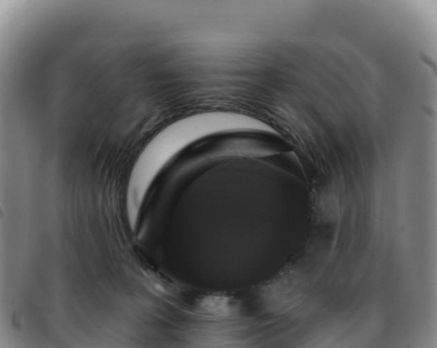 X0000096470227200801311541