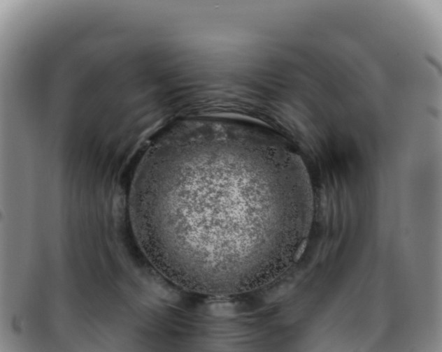 X0000096470228200801311541