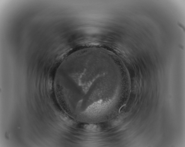 X0000096470230200801311541