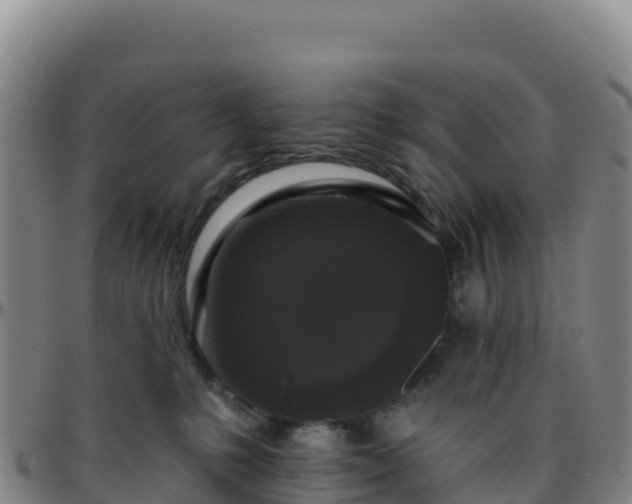 X0000096470231200801311541