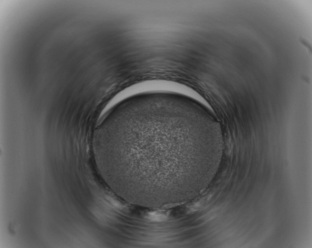 X0000096470232200801311541