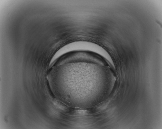 X0000096470233200801311541