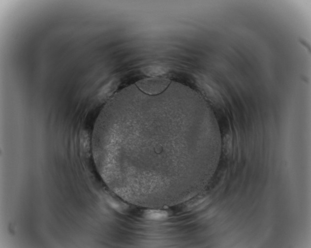 X0000096470234200801311541